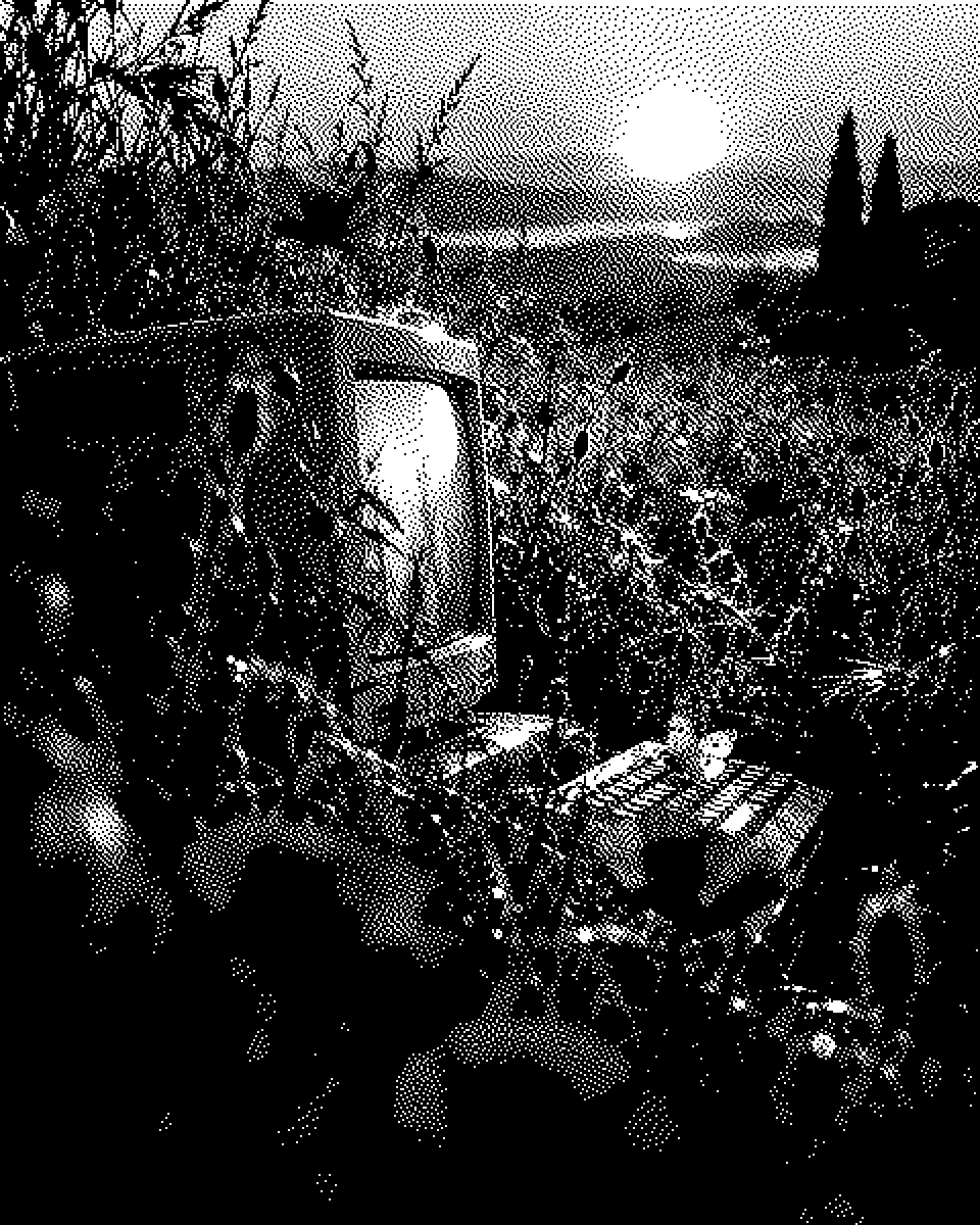 Nostalgia